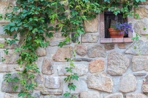a stone wall with a window with a plant at Rožmberk Royale Pension in Rožmberk nad Vltavou