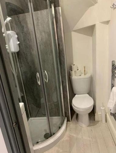 Un baño con inodoro y ducha de cristal. en Flat 6 - Eign St Hereford, en Hereford