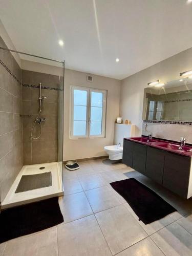 une salle de bain avec une douche, un lavabo et des toilettes dans l'établissement Appartement 6 personnes au coeur d'ALGAJOLA, à Algajola