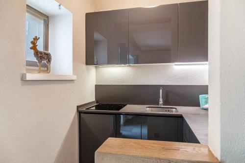 a kitchen with a sink and a giraffe on a shelf at Haus Gabriel - Seefeld in Seefeld in Tirol