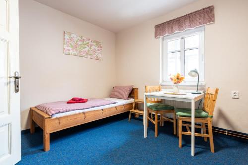 a bedroom with a bed and a table and chairs at Penzion Na Výšinkách, Jetřichovice, České Švýcarsko in Jetřichovice