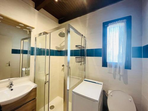 une salle de bain avec une douche, des toilettes et un lavabo dans l'établissement Appartement 2 pièces 4 couchages LUMIO, à Lumio