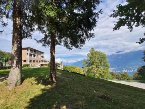 a grassy hill with trees in front of a building at Hotel Mirabeau in Bellagio