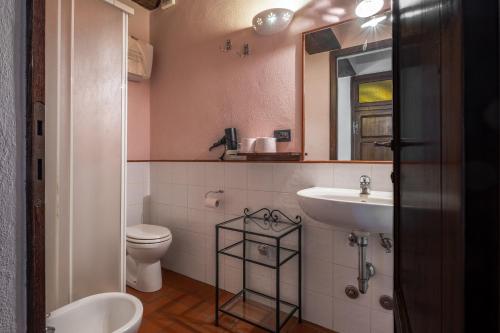 a bathroom with a toilet and a sink and a mirror at Piamperugino in Arcidosso