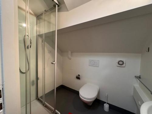 Koupelna v ubytování Charming 3P en attique Genève Veyrier Salève