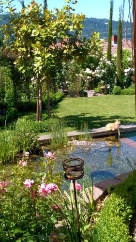 a garden with a pond with a bird bath in it at Villa Romantica Mit Tollem Blick Auf Den Bodensee in Sipplingen