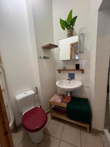 une petite salle de bain avec toilettes et lavabo dans l'établissement Les Platanes - Van Gogh Rez de Jardin, à Lamalou-les-Bains
