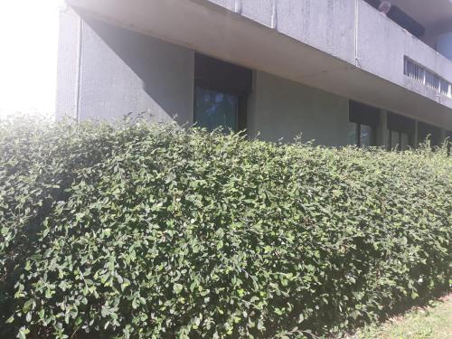 3 Bedroom Apartment - Sleeps 6