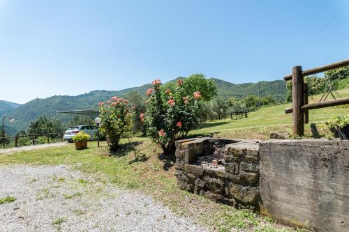 a stone wall next to a field with flowers at Alba al Rifugio Arcobaleno in Popiglio