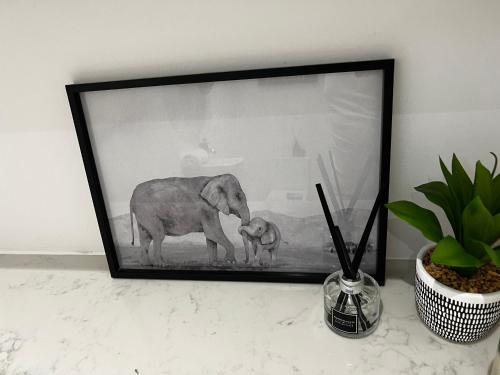 a framed picture of an elephant and a baby elephant at Stylish Brighton Haven, Sleeps 1 to 7, free parking in Brighton & Hove