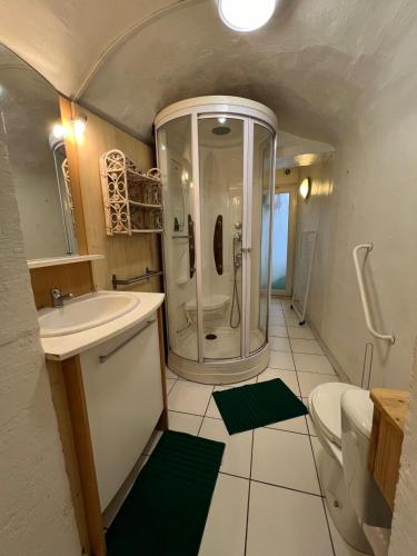une salle de bain avec une douche, un lavabo et des toilettes dans l'établissement Les Platanes - Rambrandt Rez de Jardin, à Lamalou-les-Bains