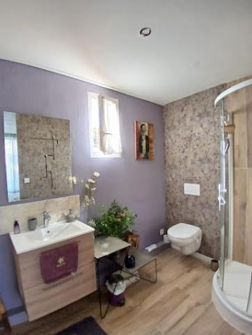 une salle de bain avec un lavabo et des toilettes dans l'établissement villa panorama, à Vaison-la-Romaine