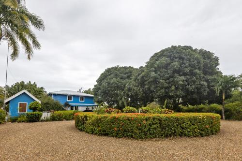 Taman di luar Casa Edie