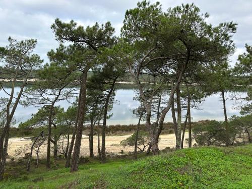 a group of trees in front of a body of water at Eco-friendly beach house in Sesimbra