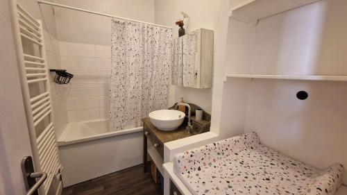 une petite salle de bain avec un lavabo et une douche dans l'établissement Le Philippe, Appartement cosy au cœur de Lyon, 2 chambres, à Lyon