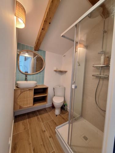 une salle de bain avec toilettes, lavabo et douche dans l'établissement Le spot Landais - Le gîte, à Soustons