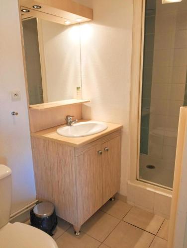 une salle de bain avec un lavabo et une douche dans l'établissement Appartement 2 pièces Ile D'Or, à La Londe-les-Maures