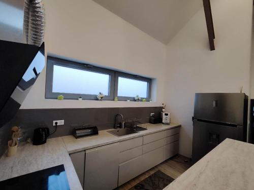 une cuisine avec un évier et une grande fenêtre dans l'établissement #Les Dahlias - Charmante maison sur Sausheim, à Sausheim