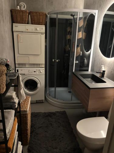 un bagno con lavandino e lavatrice di Hus med havutsikt i vakre Vesterålen - naboen til Lofoten a Sortland