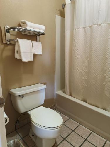 Bilik mandi di Executive Inn by OYO Kilgore North