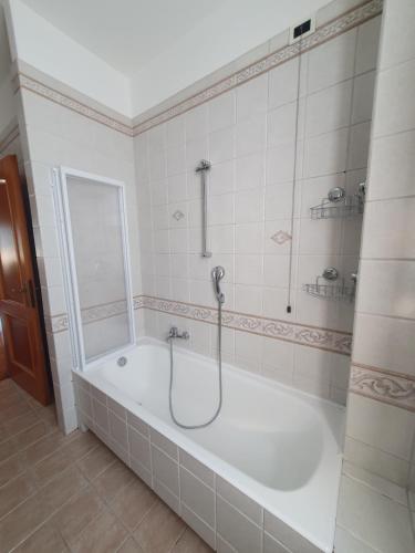 a bathroom with a bath tub with a shower at Il Belvedere 10 in Cassano dʼAdda