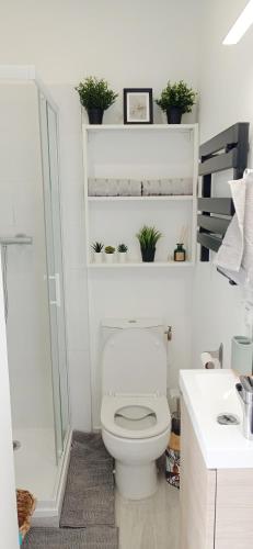 La salle de bains est pourvue de toilettes avec des plantes sur les étagères. dans l'établissement Studio 