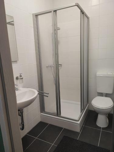 a bathroom with a shower and a toilet and a sink at SchaeBu! 6 Apartment Altmarkt im Grünen in Cottbus
