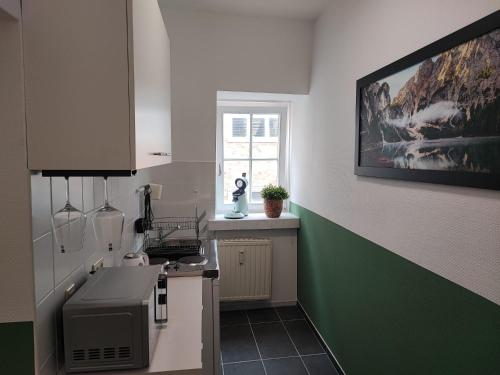 a kitchen with a green and white wall at SchaeBu! Apartment 6 Altmarkt im Grünen in Cottbus