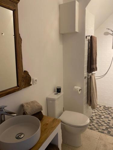 une salle de bain avec des toilettes blanches et un lavabo dans l'établissement Charmante Maison de Village, à Banyuls-sur-Mer