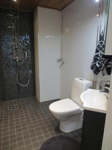a bathroom with a toilet and a shower and a sink at Nordic Home, with private sauna, free parking in Rovaniemi