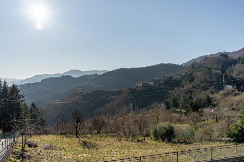 a view of a valley with mountains in the background at Limoni in Molazzana
