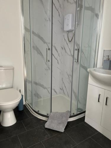 a bathroom with a shower and a toilet and a sink at West Riverside Farm in Stirling
