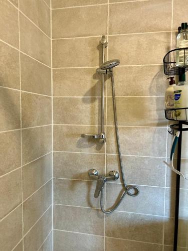 une douche avec pommeau de douche dans une salle de bain dans l'établissement LE JULA - APPARTEMENT T2 PROCHE CENTRE VILLE - Parking privé, à Albi