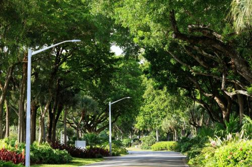 Κήπος έξω από το The Westin Fort Lauderdale