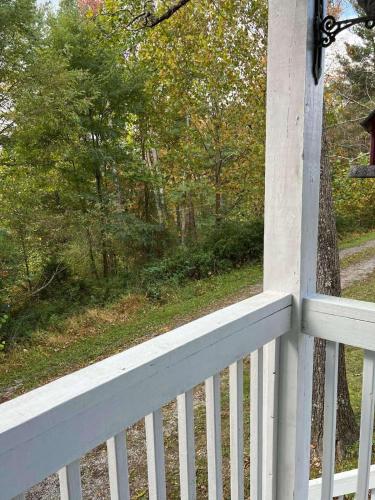 Κήπος έξω από το 3BR Pet Friendly Cottage Mathias WV