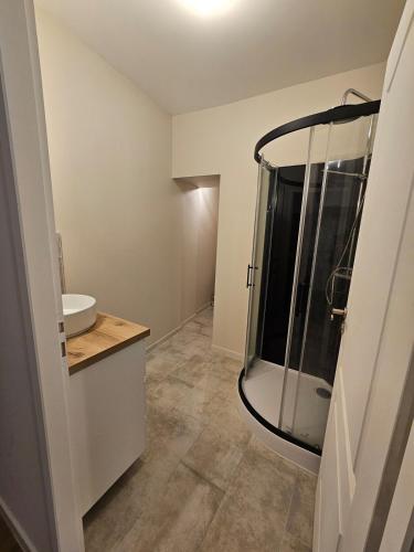 une salle de bain avec douche et lavabo dans l'établissement L'Authentique - Studio 3, à Loudéac