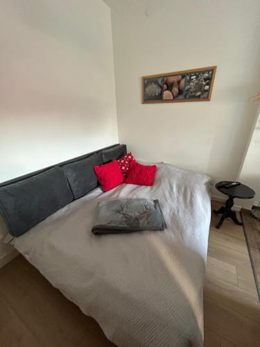 a bedroom with a large bed with red pillows at Bliss city apartments-Taurunum 1 in Belgrade