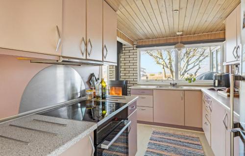 Η κουζίνα ή μικρή κουζίνα στο 3 Bedroom Awesome Home In Brenderup Fyn