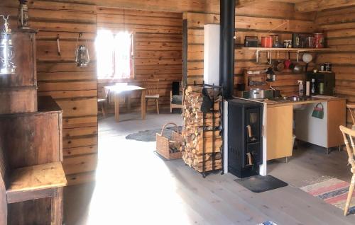 オーケシュバーリアにある1 Bedroom Cozy Home In Åkersbergaの木造キャビンのキッチン(コンロ付)