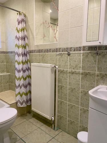 a bathroom with a toilet and a radiator at Vanessa apartments in Bešeňová