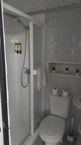 a white bathroom with a toilet and a shower at Casa da Talha By Viva a Vida - Alojamentos & Hotels in Constância