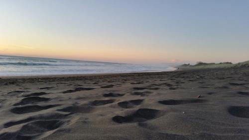 a beach with footprints in the sand and the ocean at Pukeatua Farmstay in Waimauku