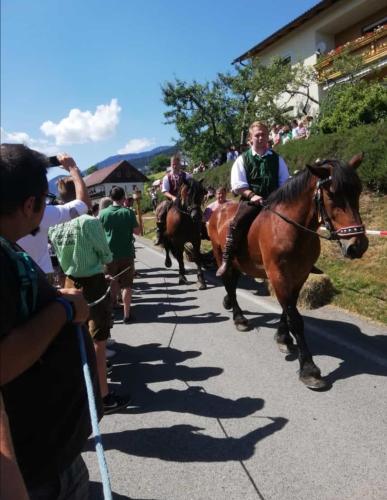 a group of people riding horses down a street at Hotel Marko in Nötsch
