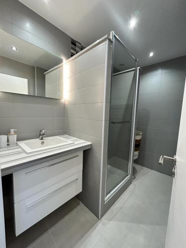 une salle de bain avec un lavabo et une douche dans l'établissement Appartement « pépite » vue mer, à Saint-Cyprien