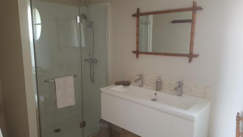 une salle de bain avec un lavabo et une douche avec un miroir dans l'établissement Maison Le Mans chambre parentale, au Mans
