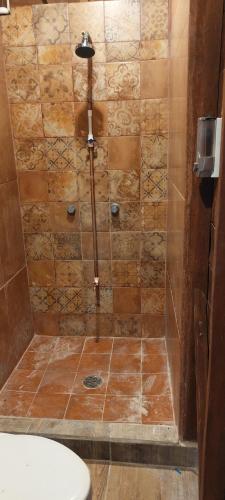 a bathroom with a shower with a toilet at Cabaña Punta Cocos in Holbox Island