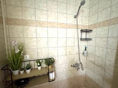 a bathroom with a shower with potted plants on a shelf at George Airport Apartments in Heraklio