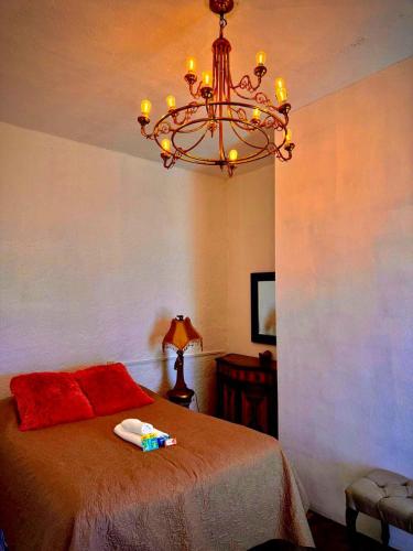 a bedroom with a bed with a chandelier at La Casita Inn Bustamante in Bustamante