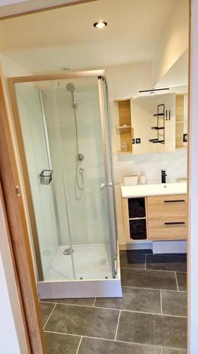 une salle de bain avec une douche avec une porte vitrée dans l'établissement Maison avec extérieur de 1 à 4 personnes, à Saran