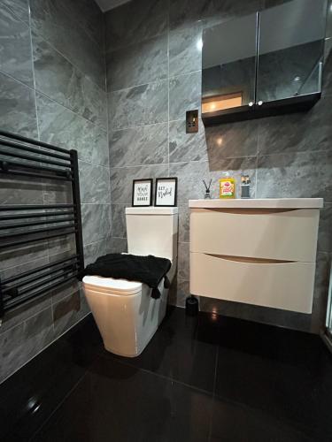 a bathroom with a toilet and a sink at Betto Lavish Apartment Sleeps 4 Central Hull HU1 Central in Hull